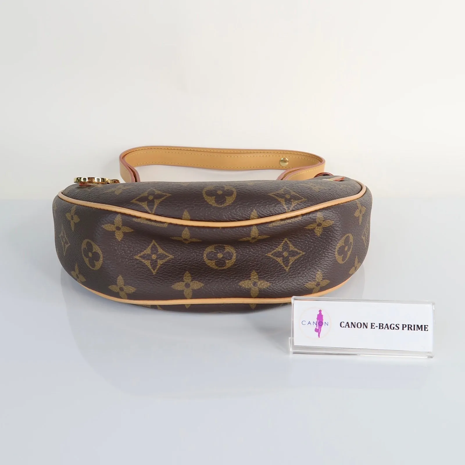 Canvas Loop