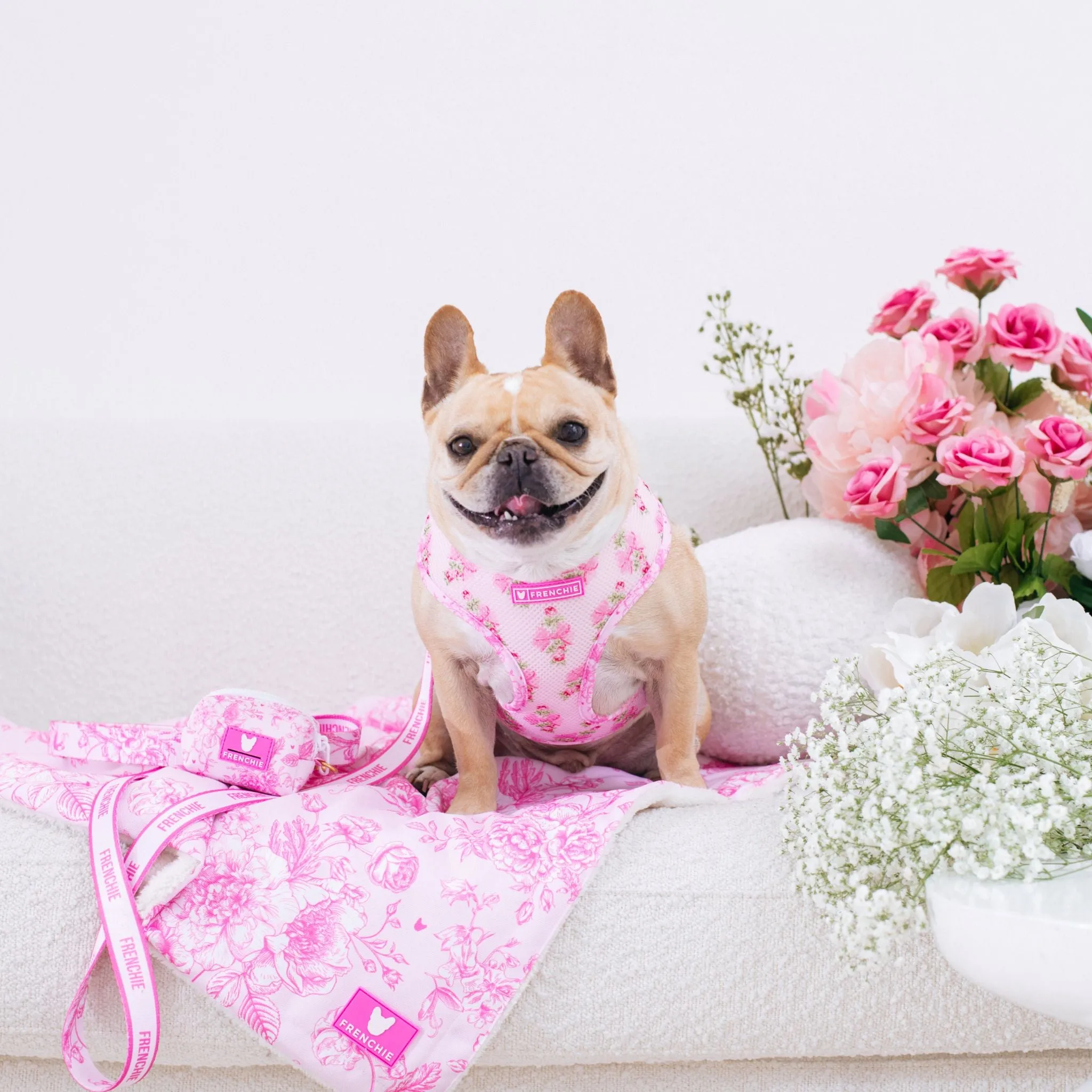Frenchie Comfort Leash - Toile- Pink