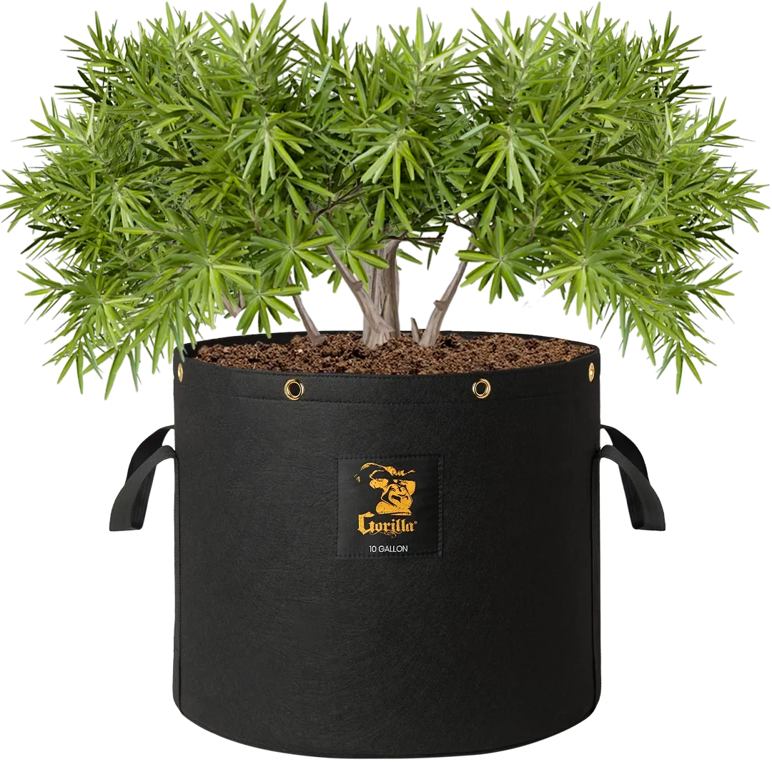 Gorilla 10 Gallon Grow Bags  (4 Pack)