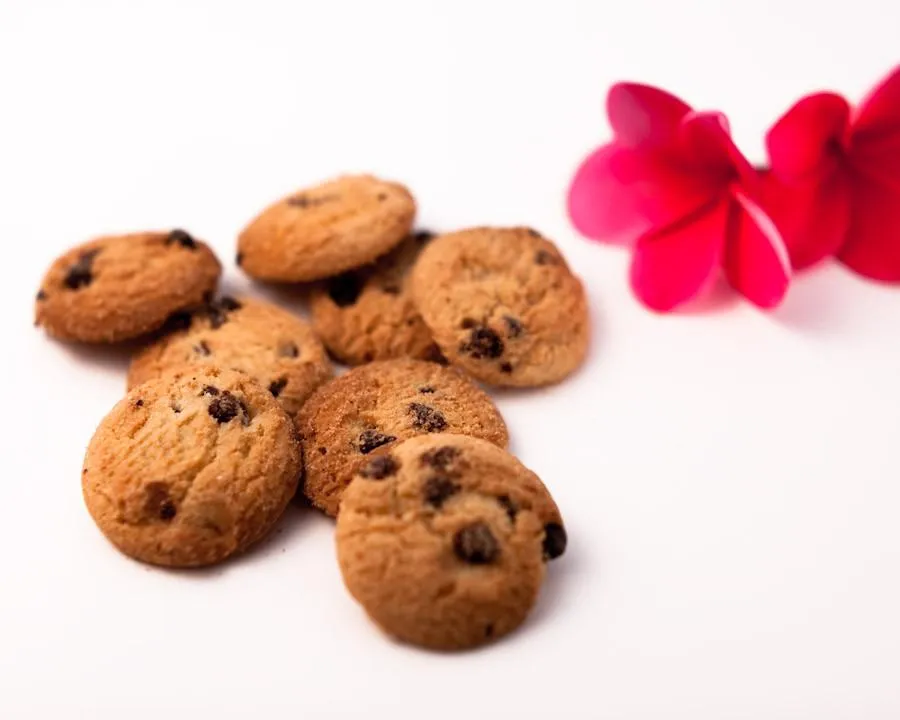 Hawaiian Cookies, Dark Chocolate Chip (4.5 oz)