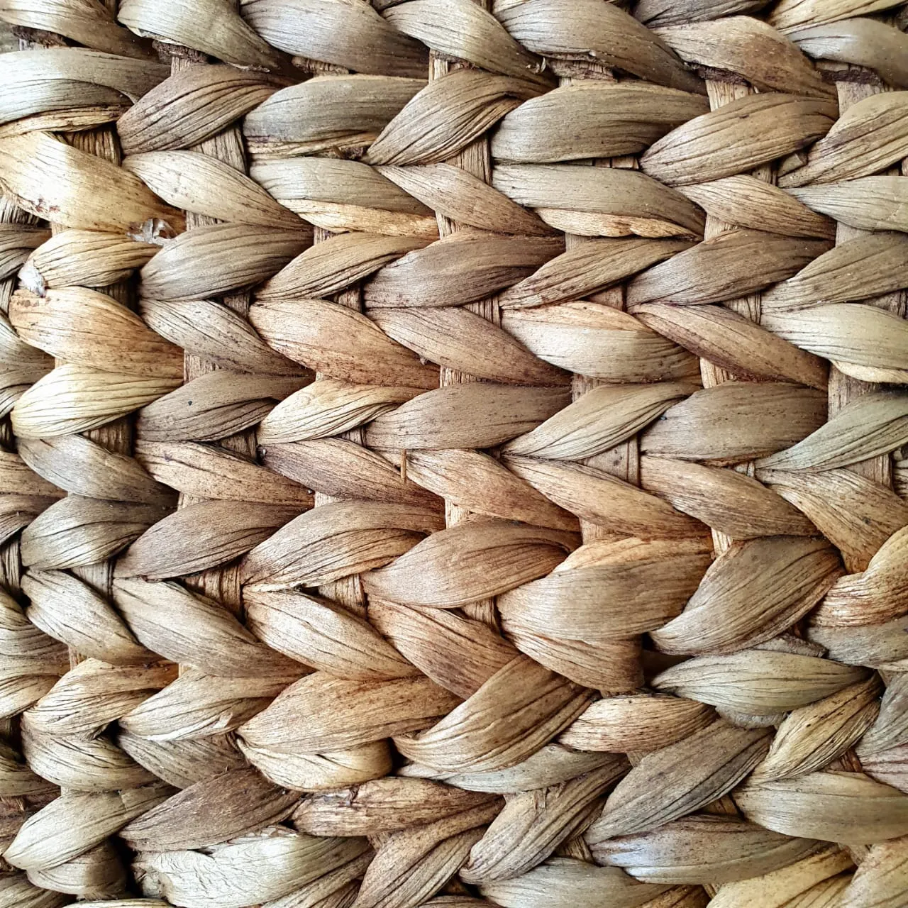 Natural Plaited Water Hyacinth Bag Set